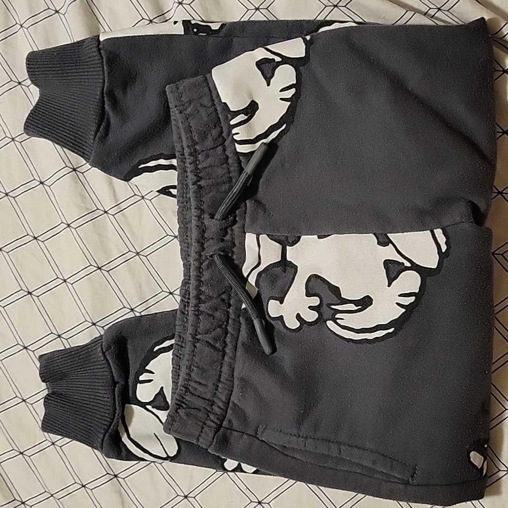 Peanuts Snoopy boy sweatpants 2T